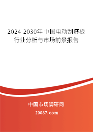 2024-2030年中国电动刮痧板行业分析与市场前景报告