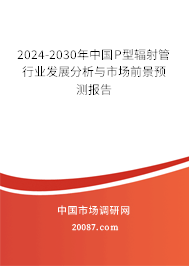 2024-2030年中国P型辐射管行业发展分析与市场前景预测报告