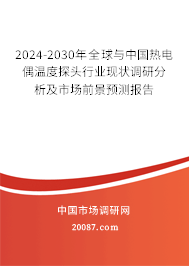 2024-2030年全球与中国热电偶温度探头行业现状调研分析及市场前景预测报告