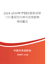 2024-2030年中国盐酸氮卓斯汀行业研究分析与前景趋势预测报告