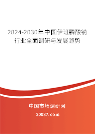 2024-2030年中国伊班膦酸钠行业全面调研与发展趋势