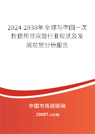 2024-2030年全球与中国一次性使用导尿管行业现状及发展前景分析报告