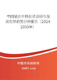 中国锗烷市场现状调研与发展前景趋势分析报告（2024-2030年）