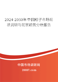 2024-2030年中国粽子市场现状调研与前景趋势分析报告