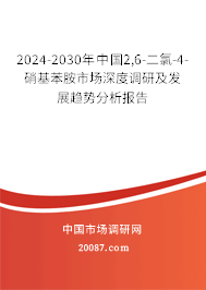 2024-2030年中国2,6-二氯-4-硝基苯胺市场深度调研及发展趋势分析报告