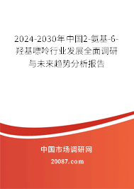 2024-2030年中国2-氨基-6-羟基嘌呤行业发展全面调研与未来趋势分析报告