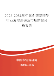 2025-2031年中国6-巯基嘌呤行业发展调研及市场前景分析报告 2025-2031年中国6-巯基嘌呤行业发展调研及市场前景分析报告