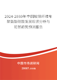 2024-2030年中国玻璃纤维布聚氨酯硅酸发展现状分析与前景趋势预测报告