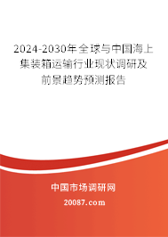 2024-2030年全球与中国海上集装箱运输行业现状调研及前景趋势预测报告