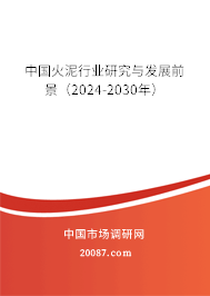 中国火泥行业研究与发展前景（2024-2030年）