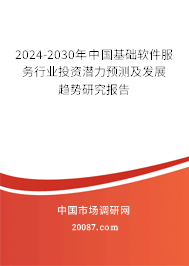 2024-2030年中国基础软件服务行业投资潜力预测及发展趋势研究报告