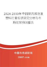 2024-2030年中国聚丙烯泡沫塑料行业现状研究分析与市场前景预测报告