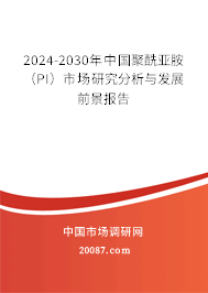 2024-2030年中国聚酰亚胺（PI）市场研究分析与发展前景报告