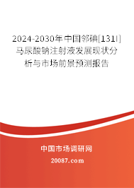 2024-2030年中国邻碘[131I]马尿酸钠注射液发展现状分析与市场前景预测报告