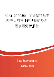 2024-2030年中国磷酸铵盐干粉灭火剂行业现状调研及发展前景分析报告