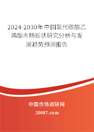 2024-2030年中国氯代碳酸乙烯酯市场现状研究分析与发展趋势预测报告