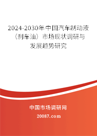 2024-2030年中国汽车制动液（刹车油）市场现状调研与发展趋势研究