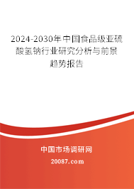 2024-2030年中国食品级亚硫酸氢钠行业研究分析与前景趋势报告