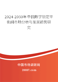 2024-2030年中国数字锁定平衡阀市场分析与发展趋势研究