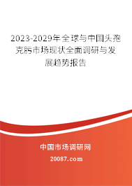 2023-2029年全球与中国头孢克肟市场现状全面调研与发展趋势报告