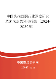 中国头孢西酮行业深度研究及未来走势预测报告（2024-2030年）