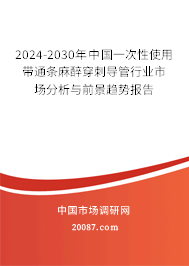 2024-2030年中国一次性使用带通条麻醉穿刺导管行业市场分析与前景趋势报告