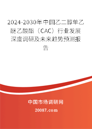 2024-2030年中国乙二醇单乙醚乙酸酯（CAC）行业发展深度调研及未来趋势预测报告