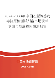 2024-2030年中国乙型流感病毒抗原检测试剂盒市场现状调研与发展趋势预测报告