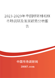 2023-2029年中国穆斯林相框市场调研及发展趋势分析报告