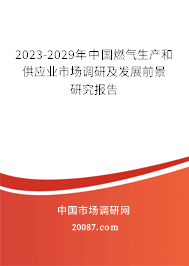 2023-2029年中国燃气生产和供应业市场调研及发展前景研究报告