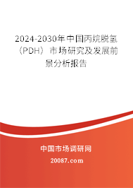 2024-2030年中国丙烷脱氢（PDH）市场研究及发展前景分析报告