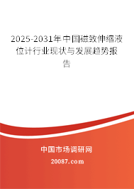 2025-2031年中国磁致伸缩液位计行业现状与发展趋势报告 2025-2031年中国磁致伸缩液位计行业现状与发展趋势报告
