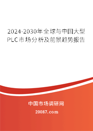 2024-2030年全球与中国大型PLC市场分析及前景趋势报告