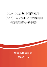 2024-2030年中国等离子（pdp）电视机行业深度调研与发展趋势分析报告