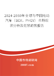 2024-2030年全球与中国电动汽车（BEV，PHEV）市场现状分析及前景趋势报告