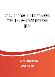 2024-2030年中国冻干冰糖葫芦行业分析与前景趋势预测报告