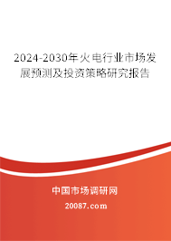 2024-2030年火电行业市场发展预测及投资策略研究报告