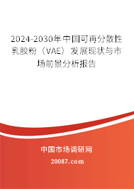 2024-2030年中国可再分散性乳胶粉（VAE）发展现状与市场前景分析报告