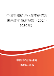 中国铅精矿行业深度研究及未来走势预测报告（2024-2030年）