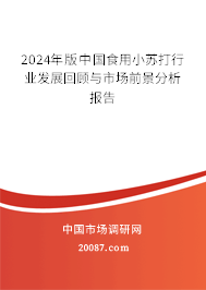 2024年版中国食用小苏打行业发展回顾与市场前景分析报告