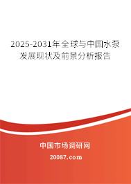 2025-2031年全球与中国水泵发展现状及前景分析报告 2025-2031年全球与中国水泵发展现状及前景分析报告
