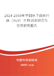 2024-2030年中国水下自航行器（AUV）市场调查研究与前景趋势报告