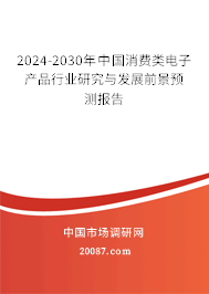 2024-2030年中国消费类电子产品行业研究与发展前景预测报告