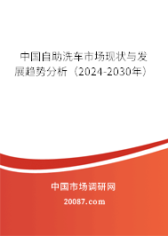 中国自助洗车市场现状与发展趋势分析（2024-2030年）