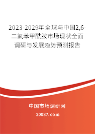 2023-2029年全球与中国2,6-二氟苯甲酰胺市场现状全面调研与发展趋势预测报告