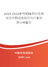 2024-2030年中国车用应急充电宝市场调查研究与行业前景分析报告