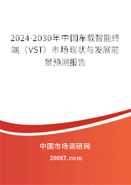 2024-2030年中国车载智能终端（VST）市场现状与发展前景预测报告