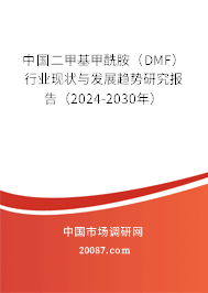 中国二甲基甲酰胺（DMF）行业现状与发展趋势研究报告（2024-2030年）