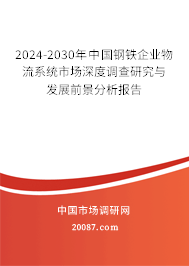 2024-2030年中国钢铁企业物流系统市场深度调查研究与发展前景分析报告