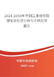 2024-2030年中国工业级碳酸锂发展现状分析与市场前景报告